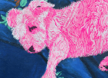 学员案例三：从零基础到帕森斯设计学院奖学金